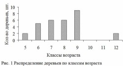 средний возраст деревьев России, 150 лет, лесные сообщества на Кольском полуострове