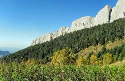 природа Кавказа, скалы, Большой Ткач, растения, фото