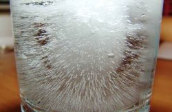 Крещение, научный эксперимент, водопроводная вода, обычно далекая от идеала, в замороженном состоянии под микроскопом представляет из себя гармоничную структуру.